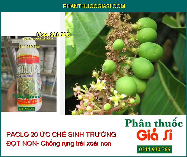 PACLO 20 ỨC CHẾ SINH TRƯỞNG ĐỌT NON- Xử Lý Ra Hoa Trái Vụ