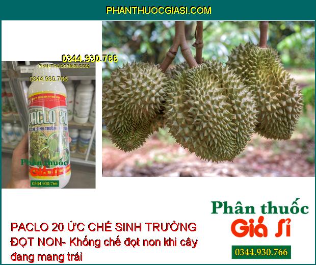 PACLO 20 ỨC CHẾ SINH TRƯỞNG ĐỌT NON- Xử Lý Ra Hoa Trái Vụ