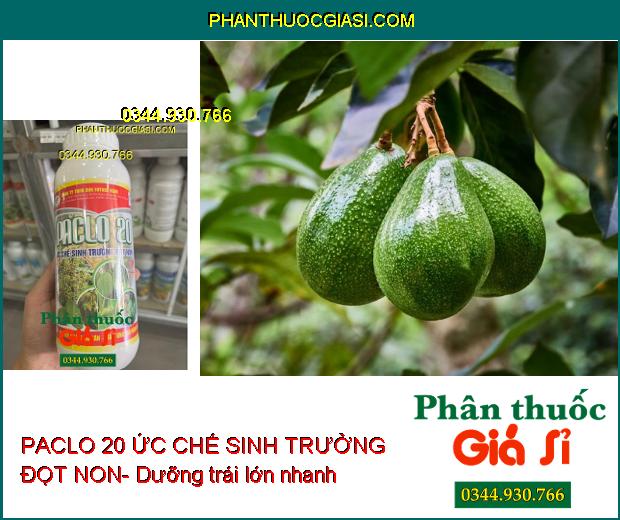 PACLO 20 ỨC CHẾ SINH TRƯỞNG ĐỌT NON- Xử Lý Ra Hoa Trái Vụ