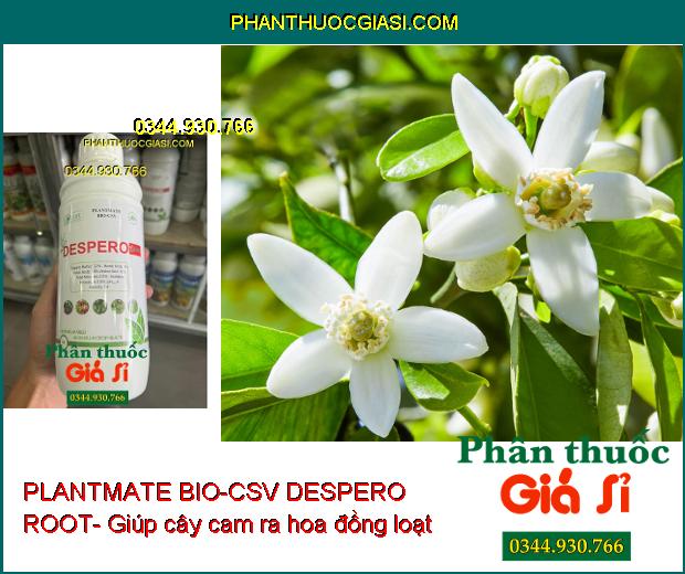 PLANTMATE BIO-CSV DESPERO ROOT- Bung Rễ Cực Mạnh- Dưỡng Hoa Trái