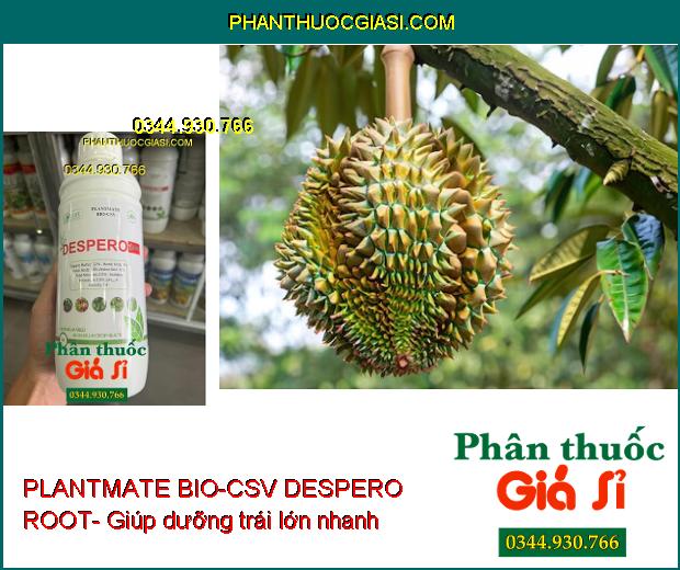 PLANTMATE BIO-CSV DESPERO ROOT- Bung Rễ Cực Mạnh- Dưỡng Hoa Trái