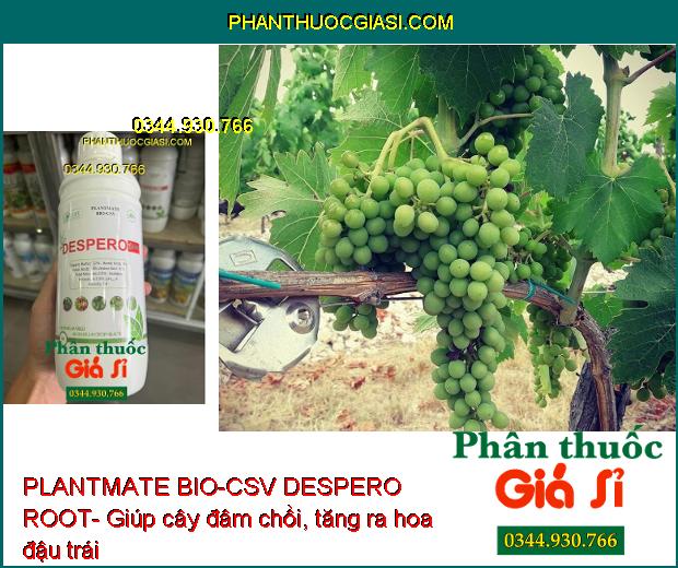 PLANTMATE BIO-CSV DESPERO ROOT- Bung Rễ Cực Mạnh- Dưỡng Hoa Trái