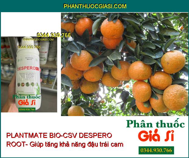 PLANTMATE BIO-CSV DESPERO ROOT- Bung Rễ Cực Mạnh- Dưỡng Hoa Trái