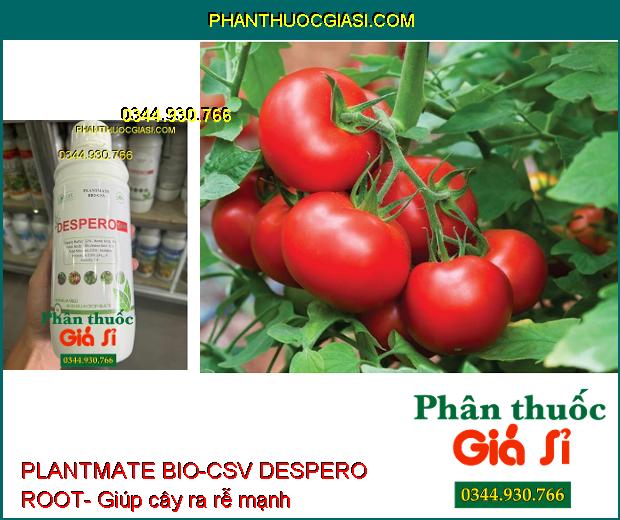 PLANTMATE BIO-CSV DESPERO ROOT- Bung Rễ Cực Mạnh- Dưỡng Hoa Trái