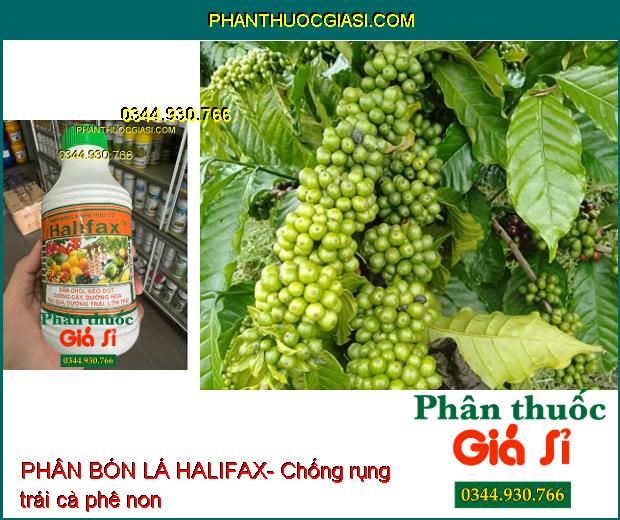 PHÂN BÓN LÁ HALIFAX- Đâm Chồi- Kéo Đọt- Dưỡng Hoa- Dưỡng Trái