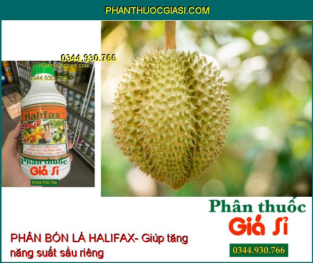 PHÂN BÓN LÁ HALIFAX- Đâm Chồi- Kéo Đọt- Dưỡng Hoa- Dưỡng Trái