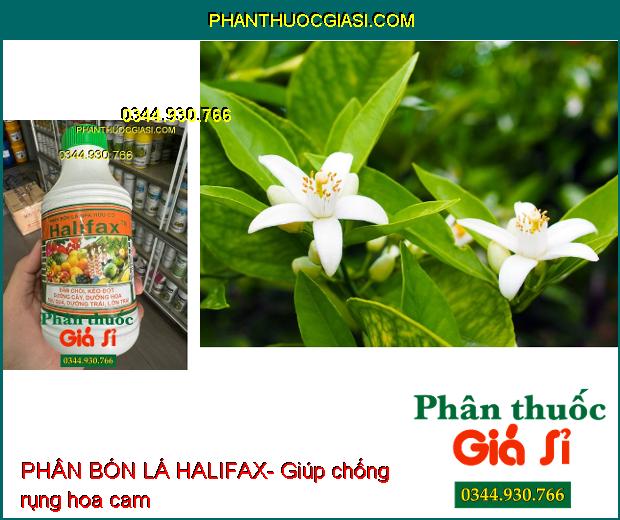 PHÂN BÓN LÁ HALIFAX- Đâm Chồi- Kéo Đọt- Dưỡng Hoa- Dưỡng Trái