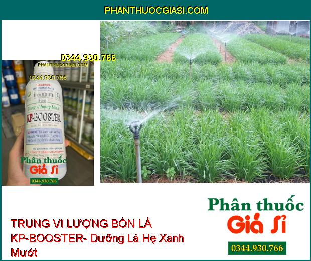 TRUNG VI LƯỢNG BÓN LÁ KP-BOOSTER