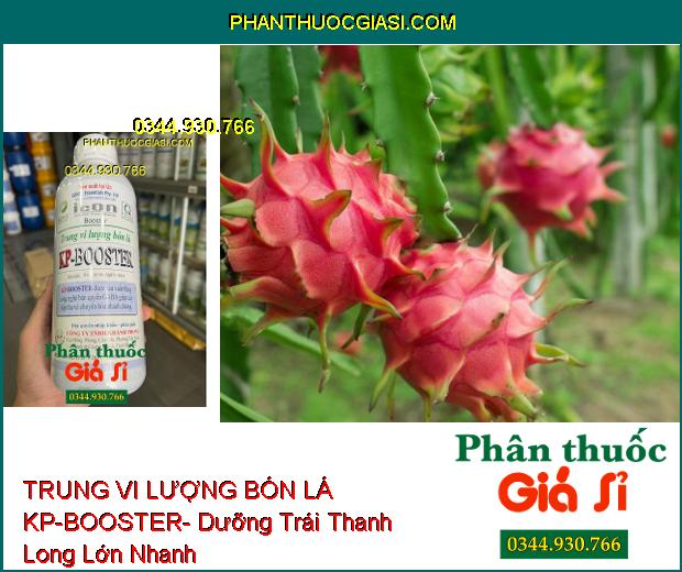 TRUNG VI LƯỢNG BÓN LÁ KP-BOOSTER