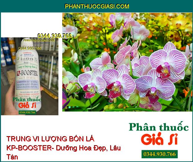 TRUNG VI LƯỢNG BÓN LÁ KP-BOOSTER