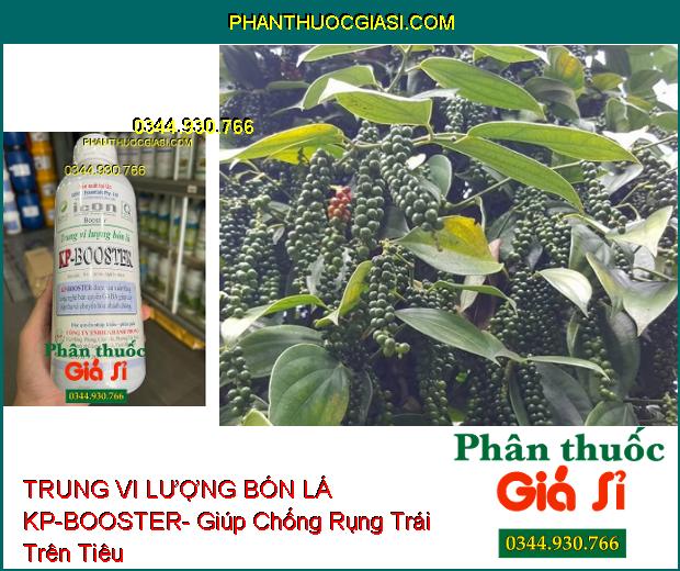 TRUNG VI LƯỢNG BÓN LÁ KP-BOOSTER