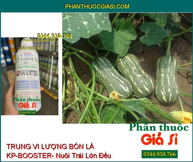 TRUNG VI LƯỢNG BÓN LÁ KP-BOOSTER