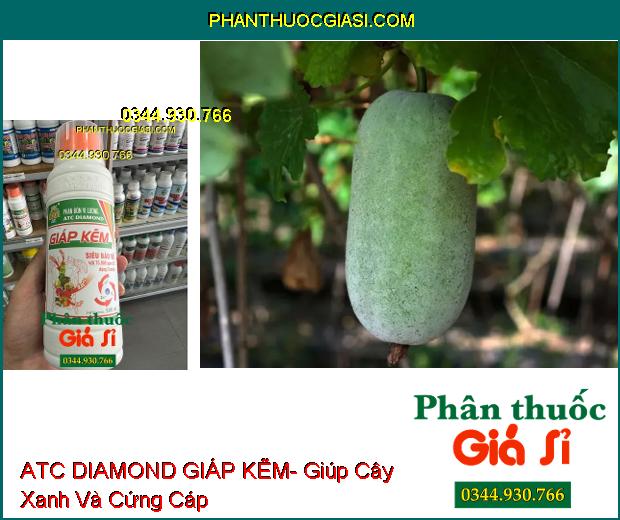 ATC DIAMOND GIÁP KẼM- Tăng Đề Kháng- Giúp Cây Xanh Và Cứng Cáp