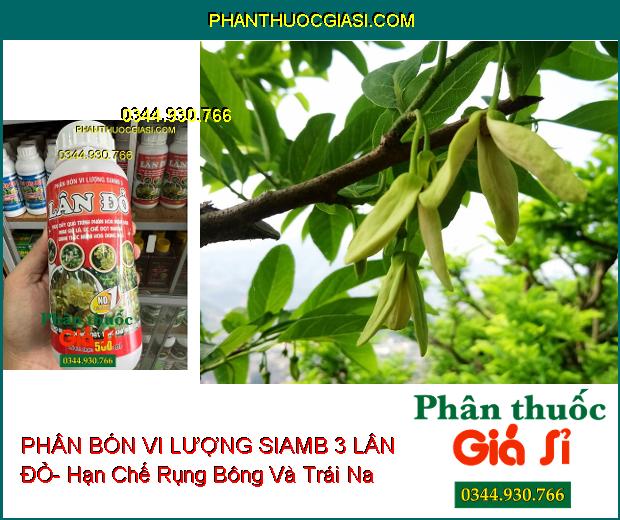 PHÂN BÓN VI LƯỢNG SIAMB 3 LÂN ĐỎ- Ức Chế Đọt Non- Thúc Đẩy Phân Hóa Mầm Hoa