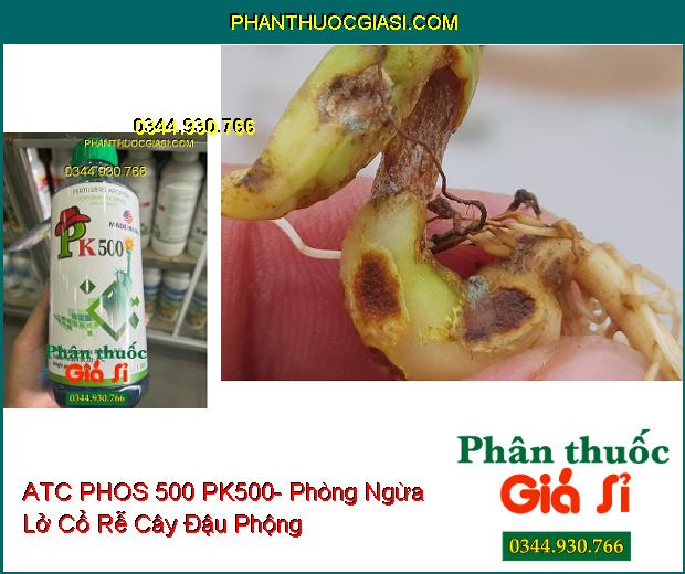 ATC PHOS 500 PK500- Phòng Ngừa Nứt Thân- Giải Độc Phèn- Ra Rễ Mạnh