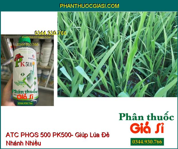 ATC PHOS 500 PK500- Phòng Ngừa Nứt Thân- Giải Độc Phèn- Ra Rễ Mạnh