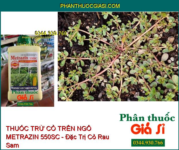 THUỐC TRỪ CỎ TRÊN NGÔ METRAZIN 550SC - Đặc Trị Cỏ Lá Rộng Và Hòa Thảo