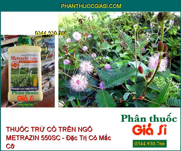 THUỐC TRỪ CỎ TRÊN NGÔ METRAZIN 550SC - Đặc Trị Cỏ Lá Rộng Và Hòa Thảo