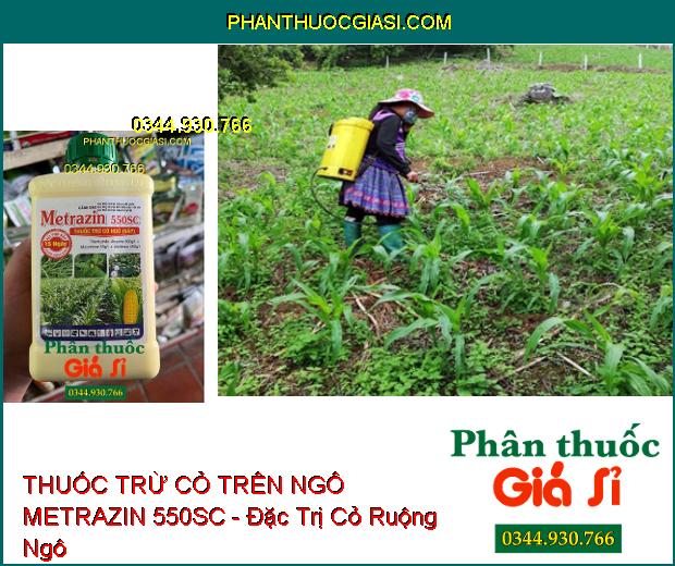 THUỐC TRỪ CỎ TRÊN NGÔ METRAZIN 550SC - Đặc Trị Cỏ Lá Rộng Và Hòa Thảo