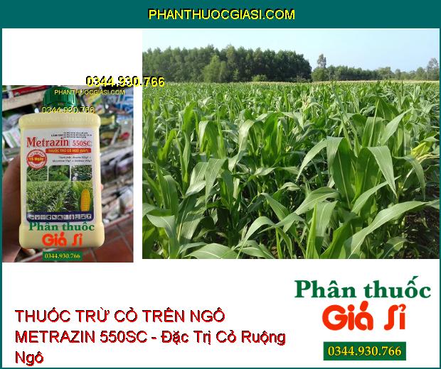 THUỐC TRỪ CỎ TRÊN NGÔ METRAZIN 550SC - Đặc Trị Cỏ Lá Rộng Và Hòa Thảo