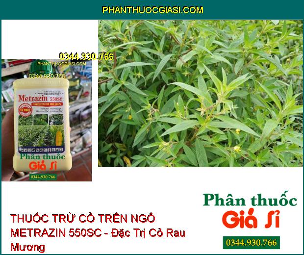 THUỐC TRỪ CỎ TRÊN NGÔ METRAZIN 550SC - Đặc Trị Cỏ Lá Rộng Và Hòa Thảo