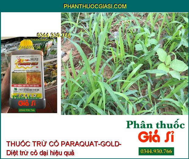 THUỐC TRỪ CỎ PARAQUAT-GOLD