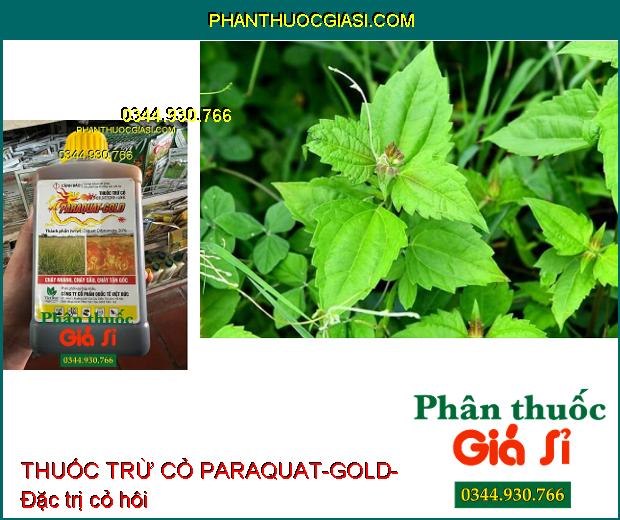 THUỐC TRỪ CỎ PARAQUAT-GOLD