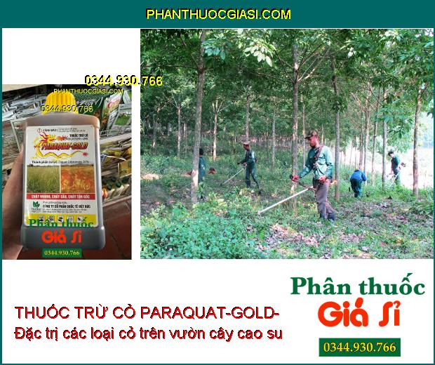 THUỐC TRỪ CỎ PARAQUAT-GOLD