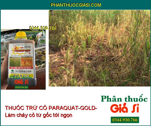 THUỐC TRỪ CỎ PARAQUAT-GOLD