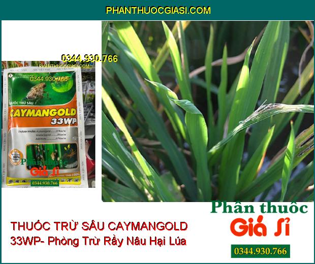 THUỐC TRỪ SÂU CAYMANGOLD 33WP- Phòng Trừ Rầy Nâu Hại Lúa