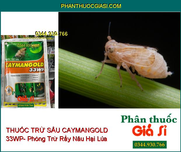 THUỐC TRỪ SÂU CAYMANGOLD 33WP- Phòng Trừ Rầy Nâu Hại Lúa