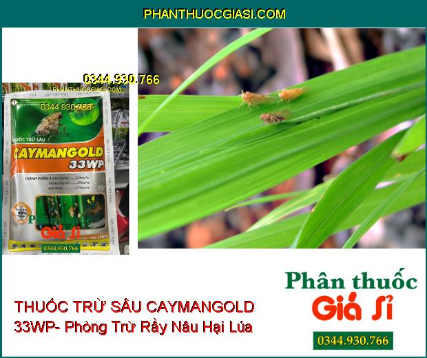 THUỐC TRỪ SÂU CAYMANGOLD 33WP- Phòng Trừ Rầy Nâu Hại Lúa