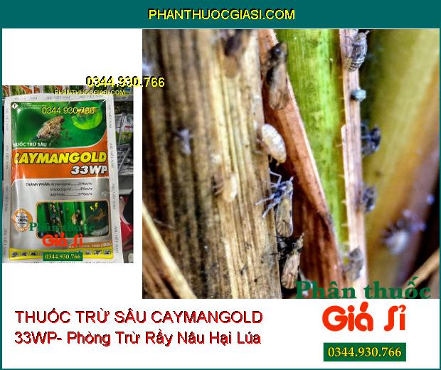 THUỐC TRỪ SÂU CAYMANGOLD 33WP- Phòng Trừ Rầy Nâu Hại Lúa