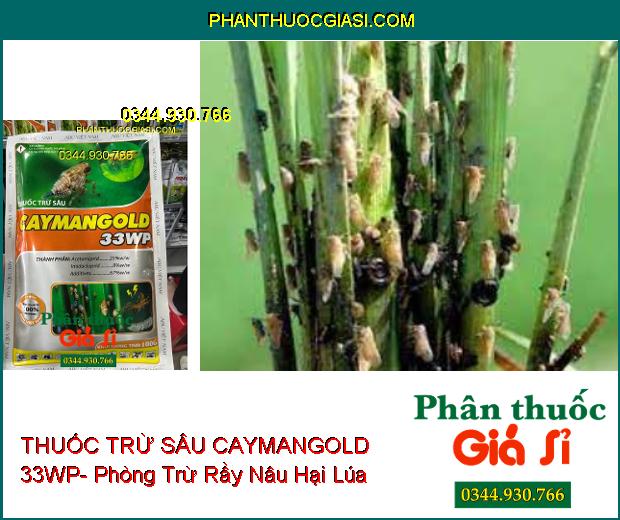 THUỐC TRỪ SÂU CAYMANGOLD 33WP- Phòng Trừ Rầy Nâu Hại Lúa