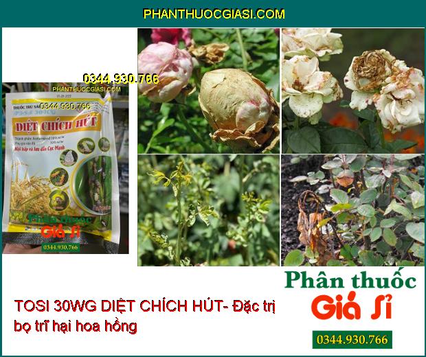 TOSI 30WG DIỆT CHÍCH HÚT