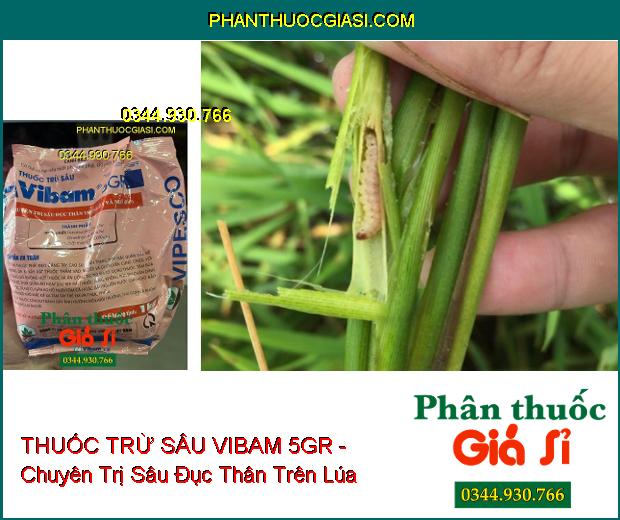 THUỐC TRỪ SÂU VIBAM 5GR - Chuyên Trị Sâu Đục Thân Trên Lúa Và Bắp