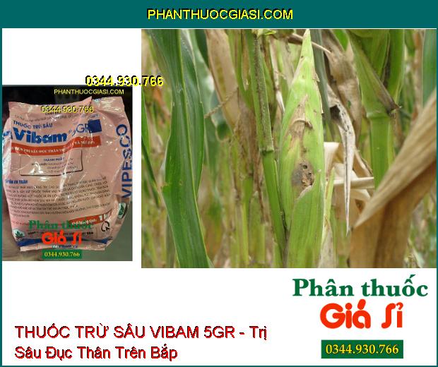 THUỐC TRỪ SÂU VIBAM 5GR - Chuyên Trị Sâu Đục Thân Trên Lúa Và Bắp