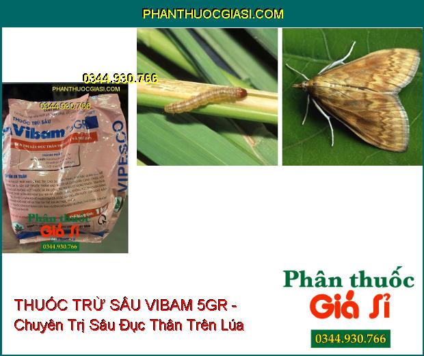 THUỐC TRỪ SÂU VIBAM 5GR - Chuyên Trị Sâu Đục Thân Trên Lúa Và Bắp