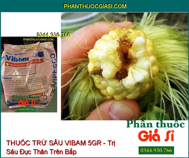 THUỐC TRỪ SÂU VIBAM 5GR - Chuyên Trị Sâu Đục Thân Trên Lúa Và Bắp