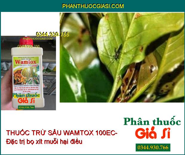 THUỐC TRỪ SÂU WAMTOX 100EC