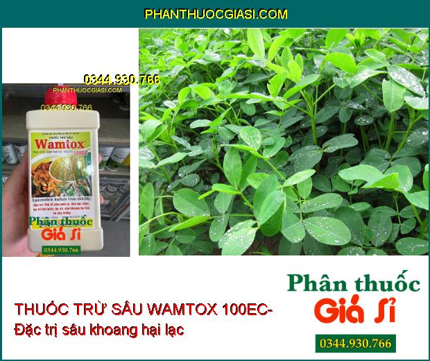 THUỐC TRỪ SÂU WAMTOX 100EC