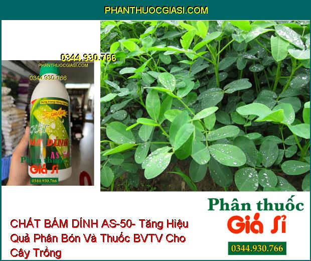 CHẤT BÁM DÍNH AS-50- Tăng Hiệu Quả Phân Bón Và Thuốc BVTV Cho Cây Trồng