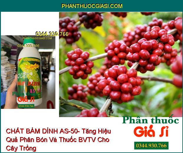 CHẤT BÁM DÍNH AS-50- Tăng Hiệu Quả Phân Bón Và Thuốc BVTV Cho Cây Trồng