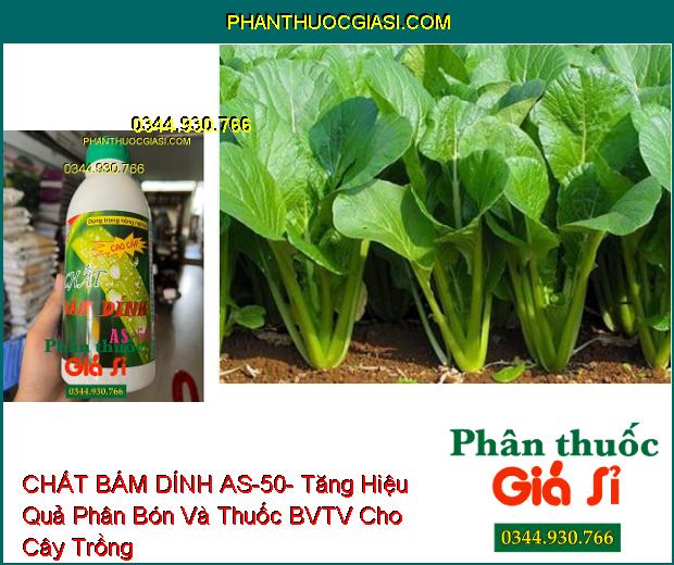 CHẤT BÁM DÍNH AS-50- Tăng Hiệu Quả Phân Bón Và Thuốc BVTV Cho Cây Trồng