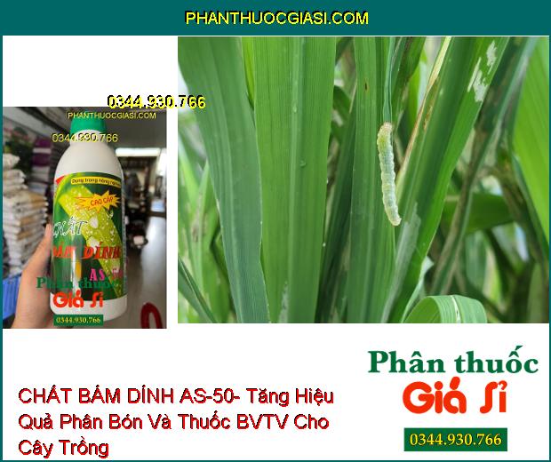 CHẤT BÁM DÍNH AS-50- Tăng Hiệu Quả Phân Bón Và Thuốc BVTV Cho Cây Trồng