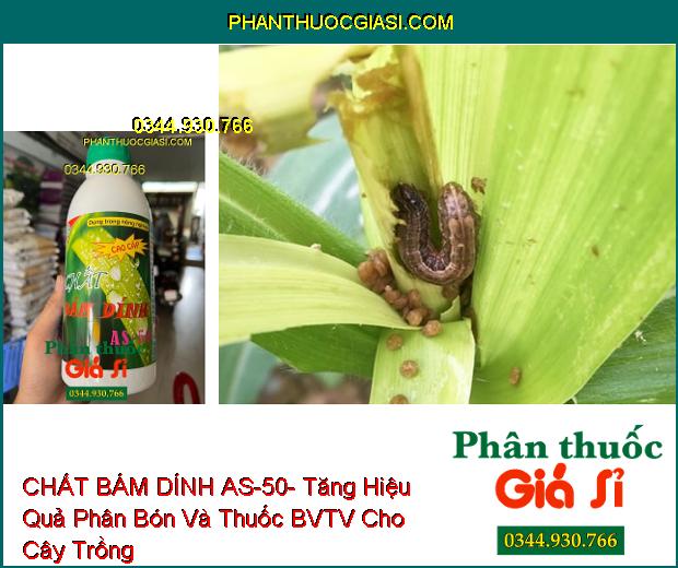 CHẤT BÁM DÍNH AS-50- Tăng Hiệu Quả Phân Bón Và Thuốc BVTV Cho Cây Trồng