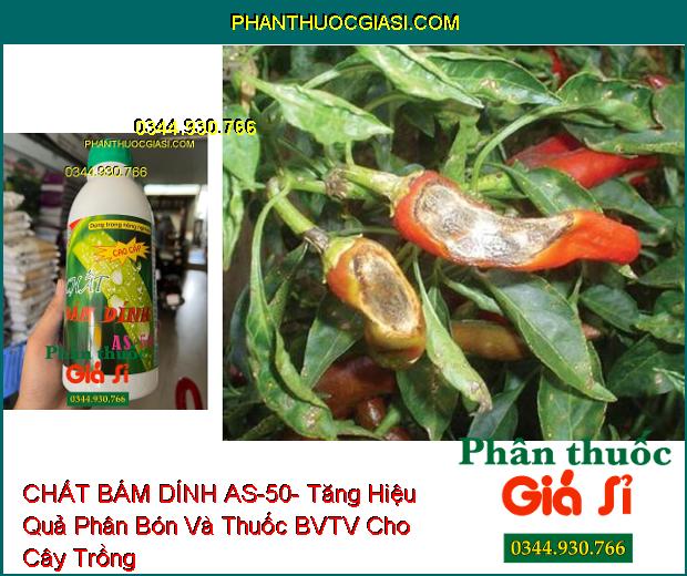 CHẤT BÁM DÍNH AS-50- Tăng Hiệu Quả Phân Bón Và Thuốc BVTV Cho Cây Trồng