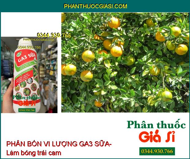 PHÂN BÓN VI LƯỢNG GA3 SỮA