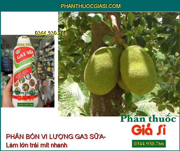 PHÂN BÓN VI LƯỢNG GA3 SỮA