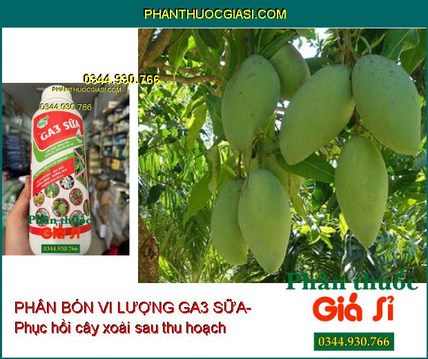 PHÂN BÓN VI LƯỢNG GA3 SỮA